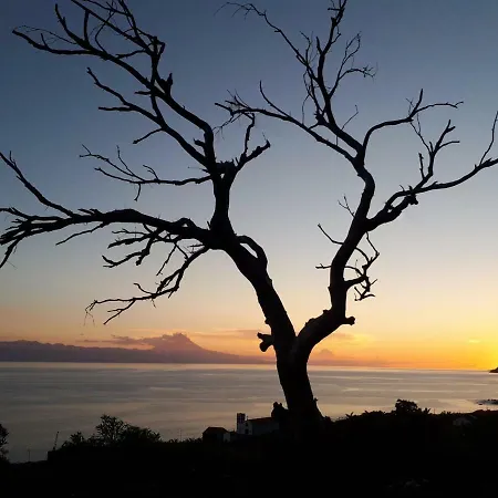 Casa Grão De Café Al *