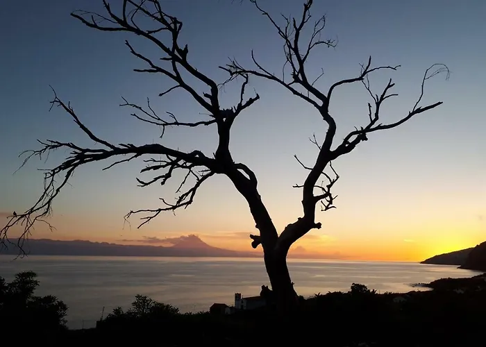 Casa Grao De Cafe Al *